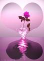 pour mon coeur